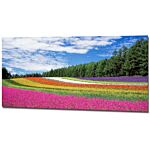 Panoramic photo prints, panoramas into beautiful posters!