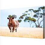 Photo canvas sizes for mobiles & cameras, eye-catching art!