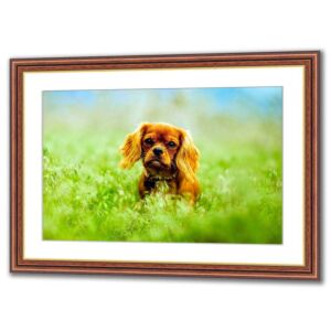Picture framing