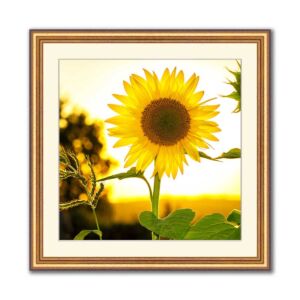 Photo framing online