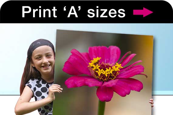Print A1, A2, A3, A4 Printing