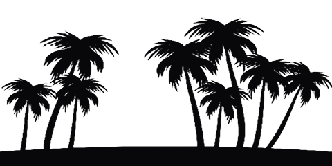 Picture of a panorama with palm trees