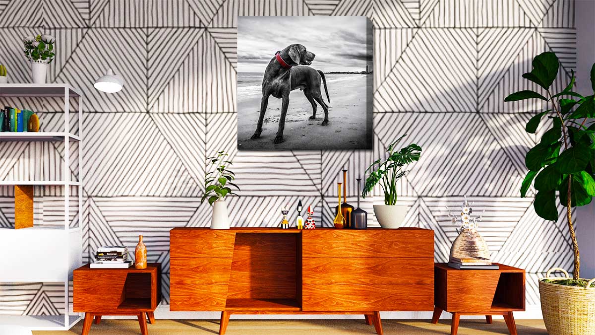 Picture of a dog on the beach printed on canvas and hung over a sideboard