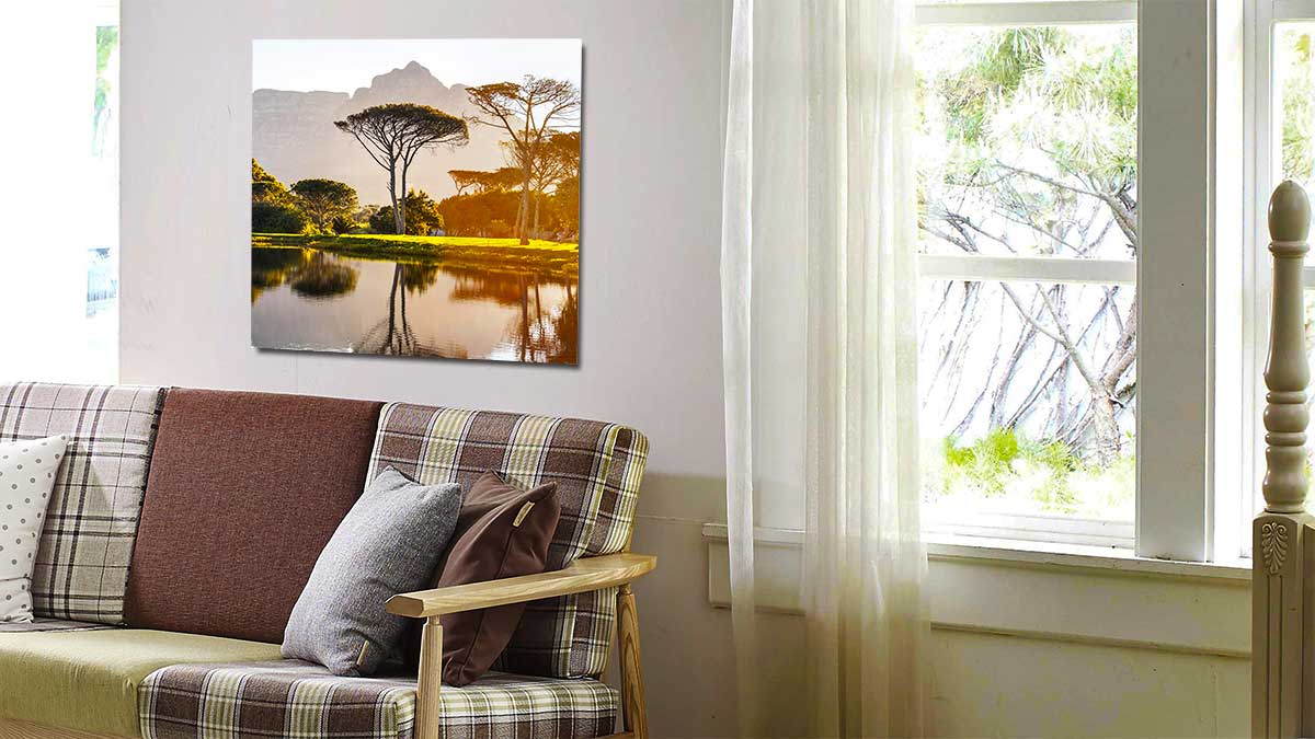 Unusual landscape with large trees cropped and printed as a square photo print and hung by a window with trees behind