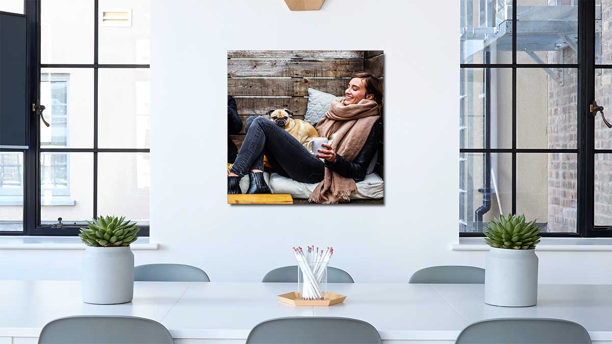 Photo of a family pet perched on a lap, printed onto a square poster and hung on a dining room wall