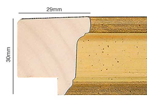 Scoop profile