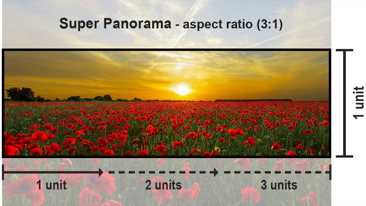 3:1 aspect ratio diagram