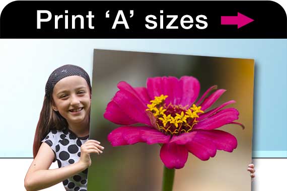 Girl holding a massive poster showing a picture of a flower