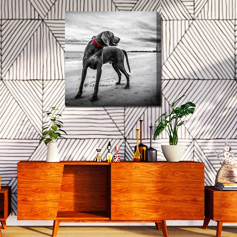 Picture of a dog on the beach printed on canvas and hung over a sideboard