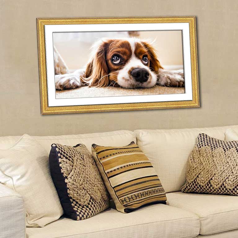 Picture of a pet dog framed in a golden frame and hung behind a settee with golden cushions