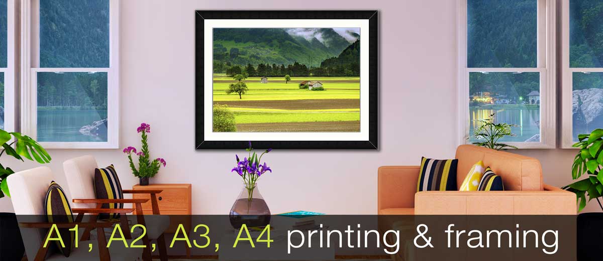 A2 framed poster of paddy fields in a black frame hung on a sitting room wall