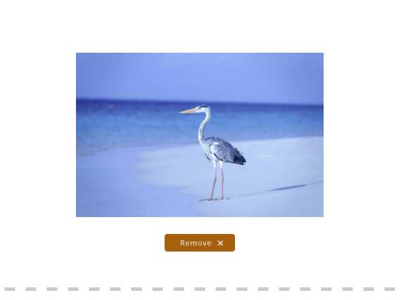 Step 1 - upload your photo