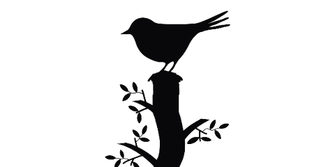 Picture of a bird in silhouette