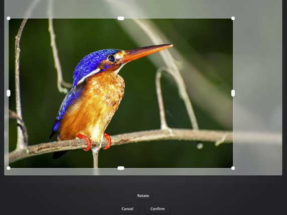 Screenshot of the editing window