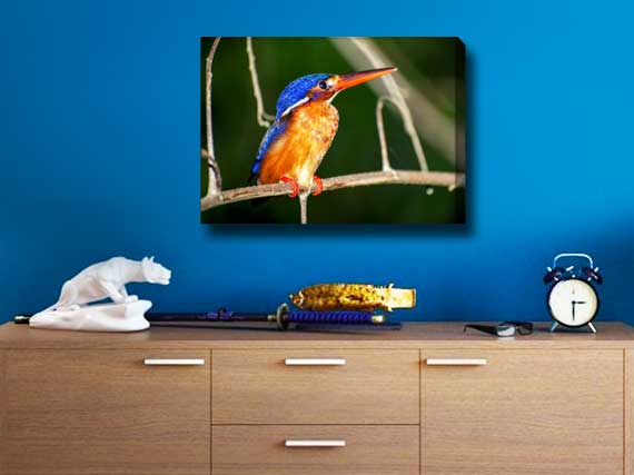 Picture of the final canvas hung on a wall