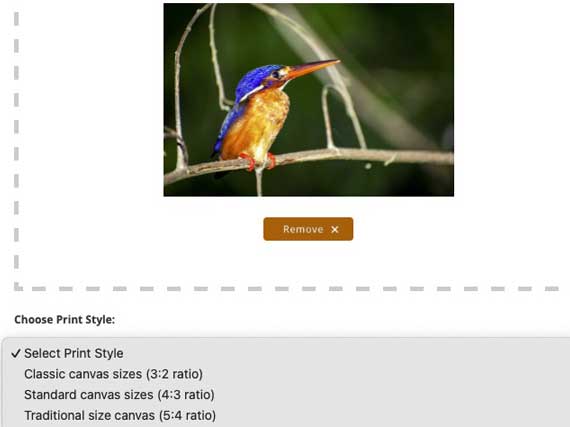 Screenshot of canvas style (ratio) options