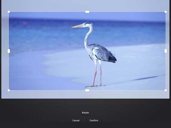 Step 1 - upload your photo