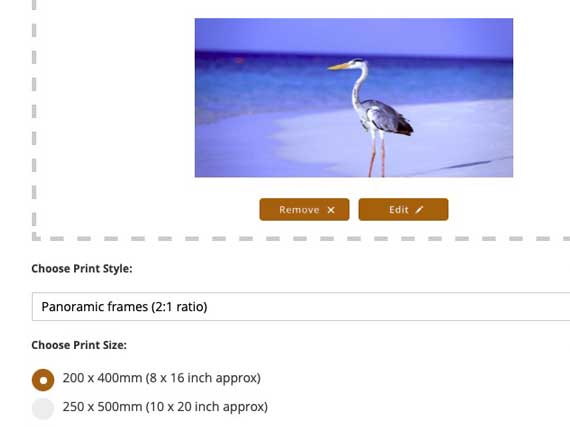 Step 1 - upload your photo