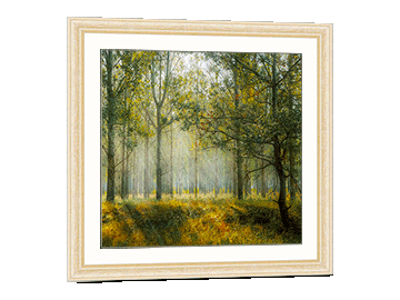 Picture of a woodland in a natural beige frame
