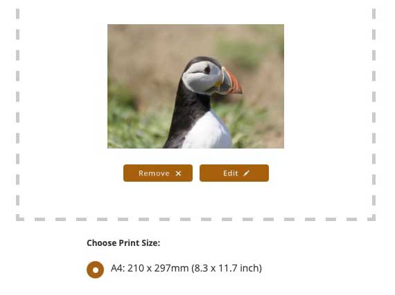 Screenshot showing the edit button appearing
