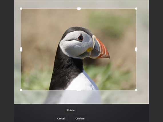 Screenshot demonstrating how to use the crop tool
