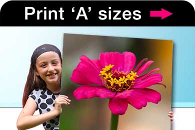 Girl holding an A1 print of a flower