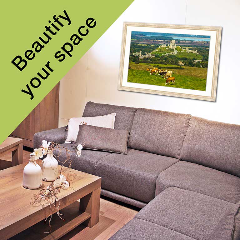 Picture of an ancient castle with cows in the foreground hanging on a wall in a comfortable sitting room