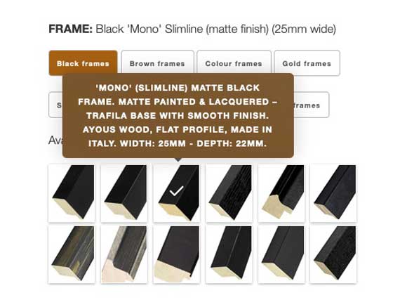 A selection of frame choices