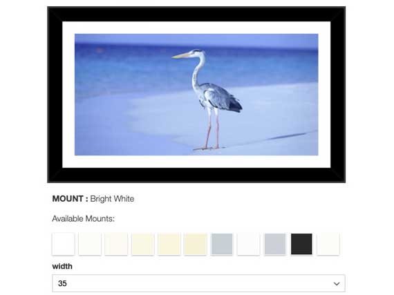 Screenshot of mount choices