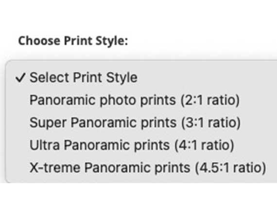 Picture of the print style selection box