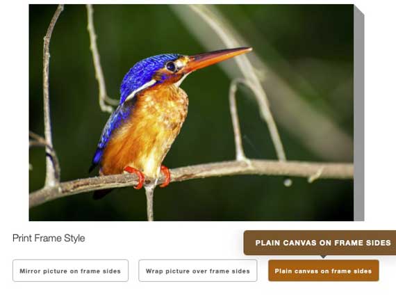 Screenshot of a preview showing 'Plain canvas on frame sides