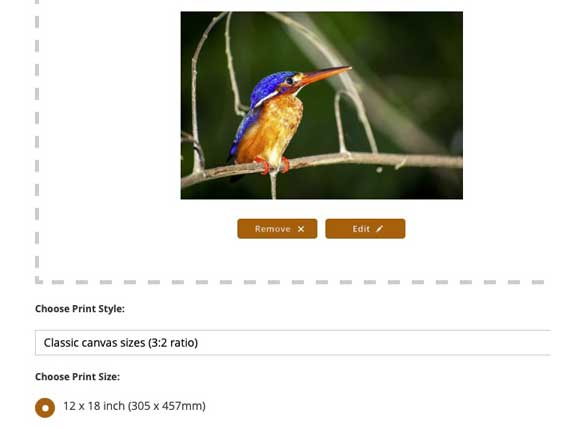 Screenshot of canvas size choices