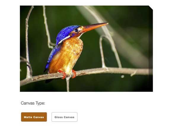 Screenshot showing canvas type choices