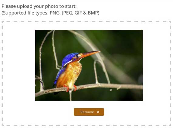 Screenshot showing the uploading window