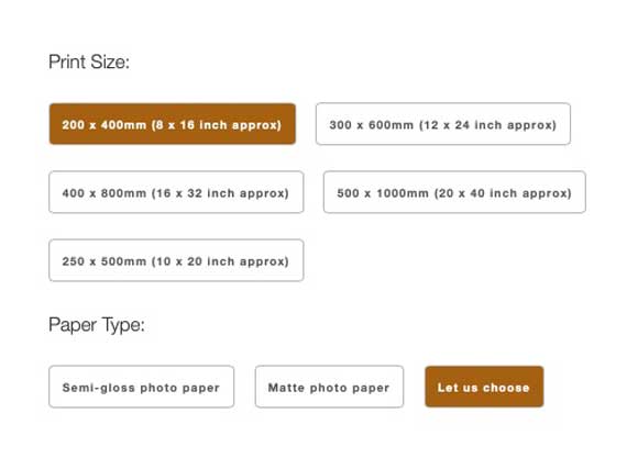 Screenshot showing selections for paper