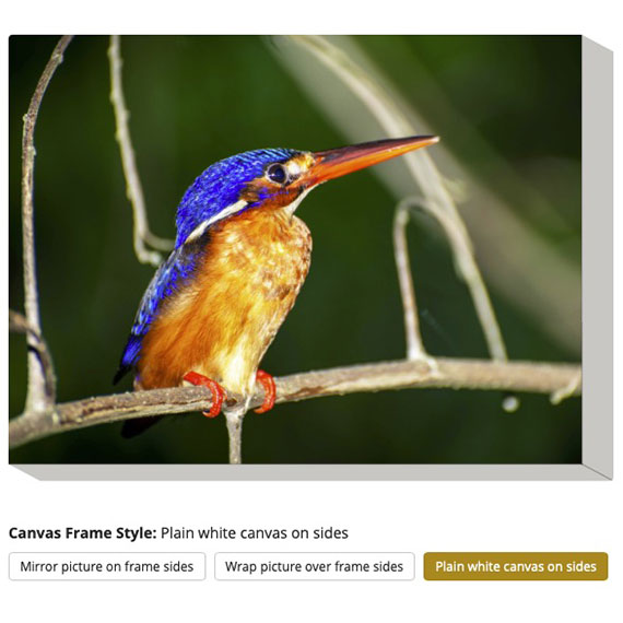 Screenshot of a preview showing 'Plain canvas on frame sides